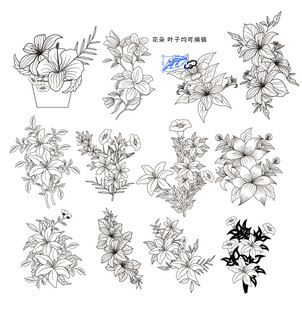 百合花卉线稿图案设计素材