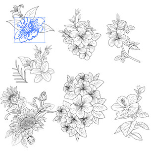 百合花卉线稿图案集