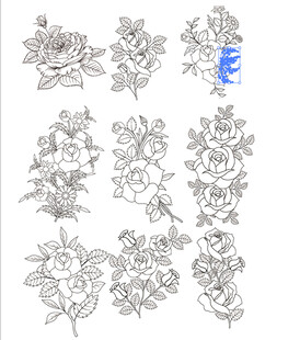 玫瑰 花卉线稿图案设计素材