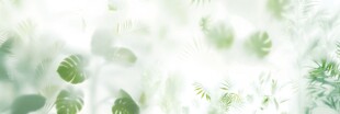 雾气磨砂膜效果绿植贴图