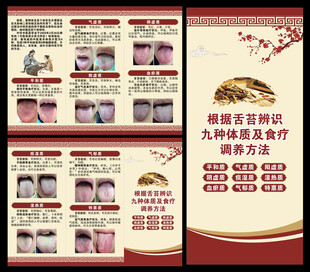 中医九种体质辨识三折页