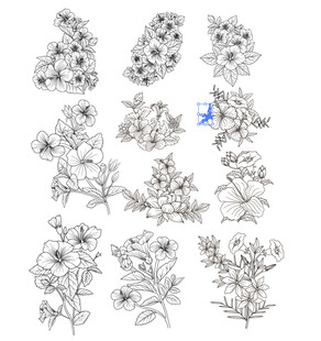 花卉线稿图案集合