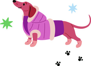 穿毛衣的可爱腊肠犬