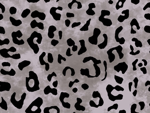 豹纹 黑白豹纹 