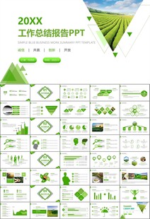 茶园茶叶茶具茶文化茶道PPT