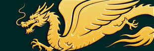 金色飞龙图案