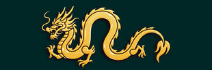 金色祥龙图案