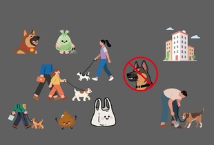 城市宠物相关行为规范素材图