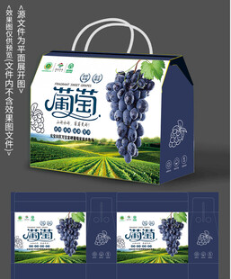 葡萄手提礼盒包装设计