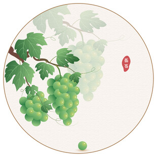 青葡萄矢量插画