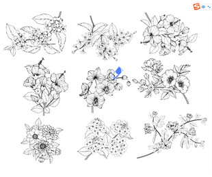 花卉线稿图案设计素材