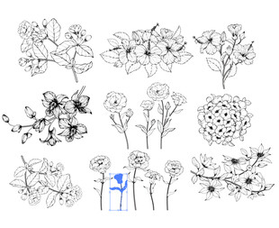 手绘花卉图案集合