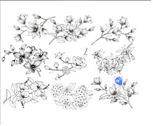 手绘花卉图案设计素材