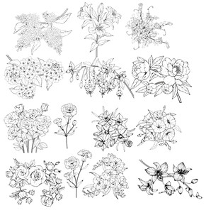手绘花卉植物图案集合
