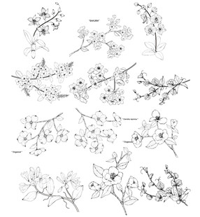 手绘植物花卉枝叶图案