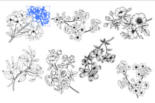 手绘花卉线条图案素材