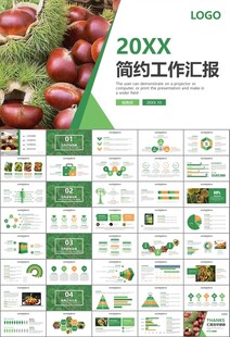 营养美食美味板栗种植宣传PPT