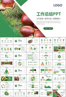 营养美食美味板栗种植宣传PPT