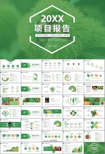 营养美食美味板栗种植宣传PPT