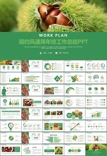 营养美食美味板栗种植宣传PPT