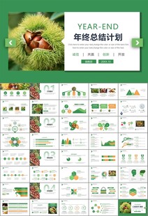 营养美食美味板栗种植宣传PPT