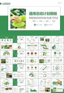 营养美食美味板栗种植宣传PPT