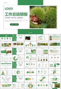 营养美食美味板栗种植宣传PPT