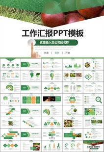 营养美食美味板栗种植宣传PPT