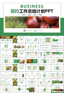 营养美食美味板栗种植宣传PPT