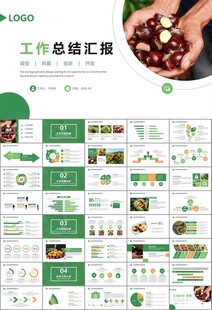 营养美食美味板栗种植宣传PPT