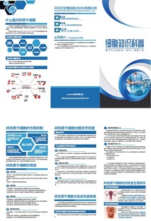 企业宣传册设计模板展示