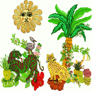 热带动植物插画集合