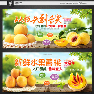 黄桃 桃子 油桃