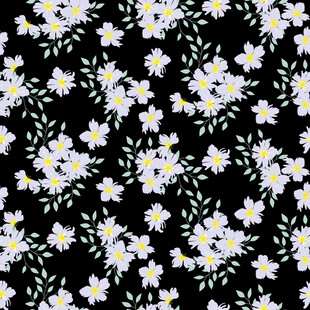 黑色底小雏菊花卉图案