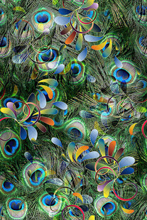 五彩斑斓的孔雀羽毛