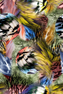 多彩羽毛图案的艺术展示