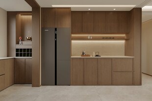 室内效果冰箱柜