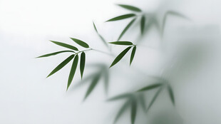 雾气磨砂膜效果绿植贴图