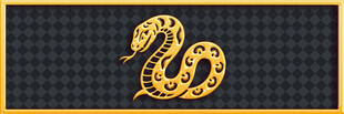 金色盘绕蛇形图案