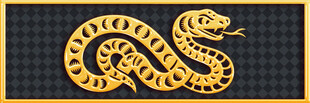 金色盘绕蛇形图案装饰