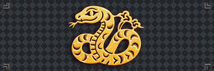 金色盘绕蛇形图案