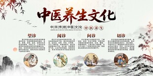 中医养生展板