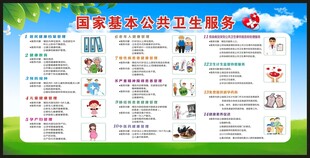 国家基本公共卫生服务项目