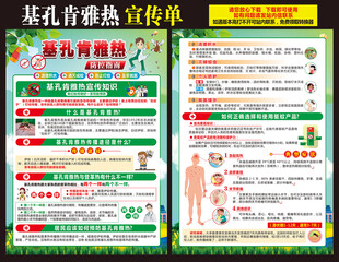 基孔肯雅热宣传单