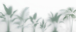 雾气磨砂膜效果绿植贴图