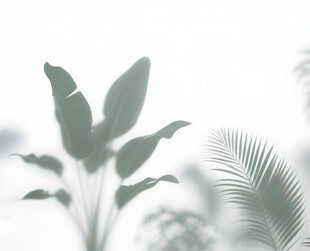 雾气磨砂膜效果绿植贴图