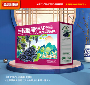 葡萄包装 巨峰礼盒