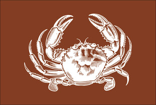 复古风螃蟹图案设计