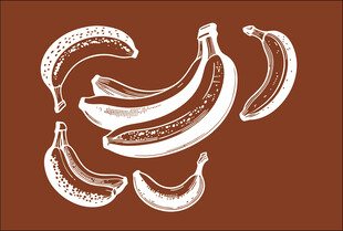 手绘香蕉图案设计元素