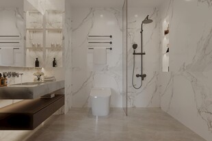 干湿分离卫生间效果图